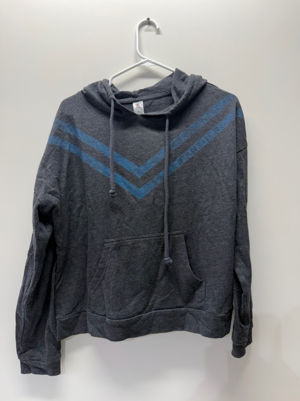 NFL Dark Gray Pullover Hoodie Carolina panthers women’s